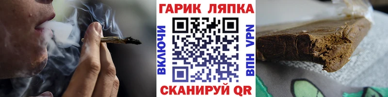 Купить где  Оса  ГАШ гарик 