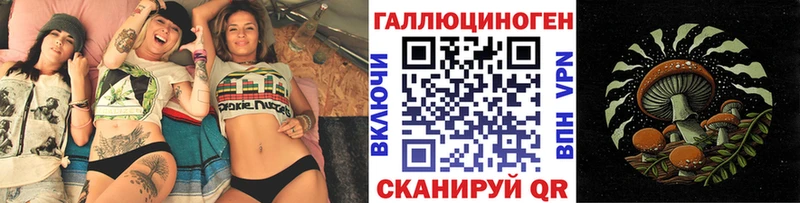 Галлюциногенные грибы Psilocybe  Купить закладки  Оса 